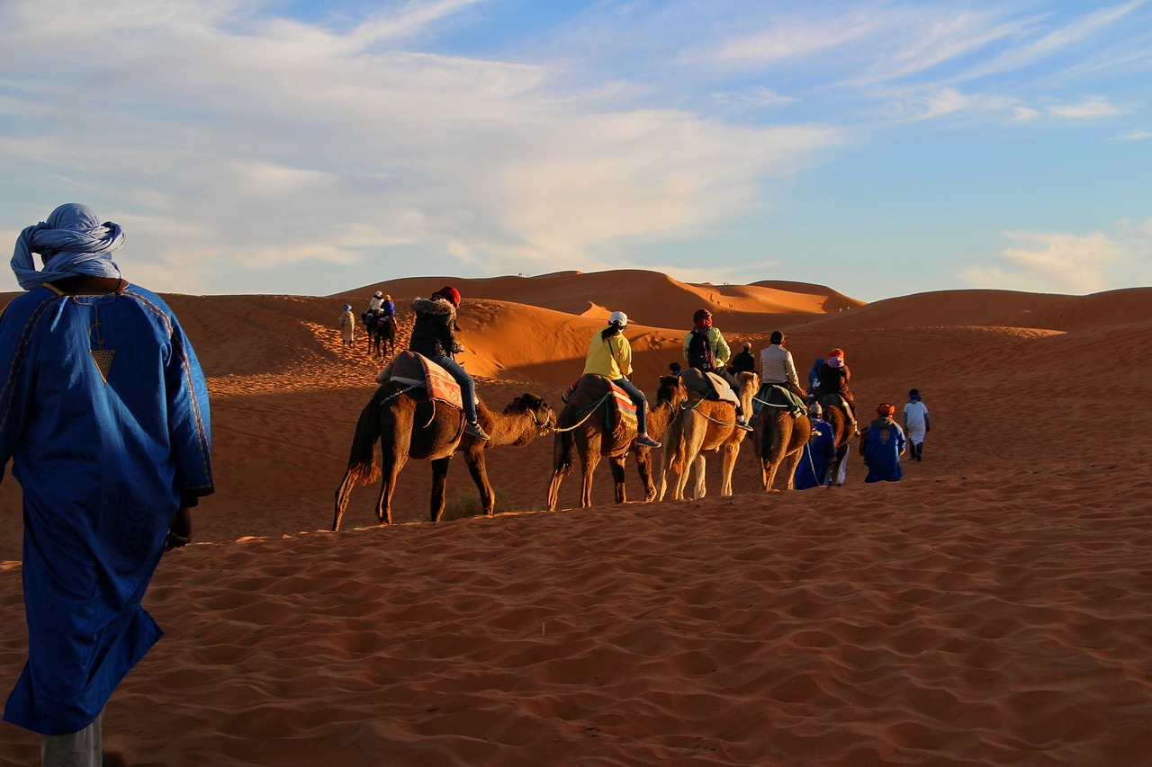 trip, adventure, camel caravan